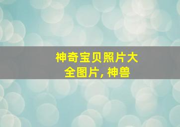 神奇宝贝照片大全图片, 神兽